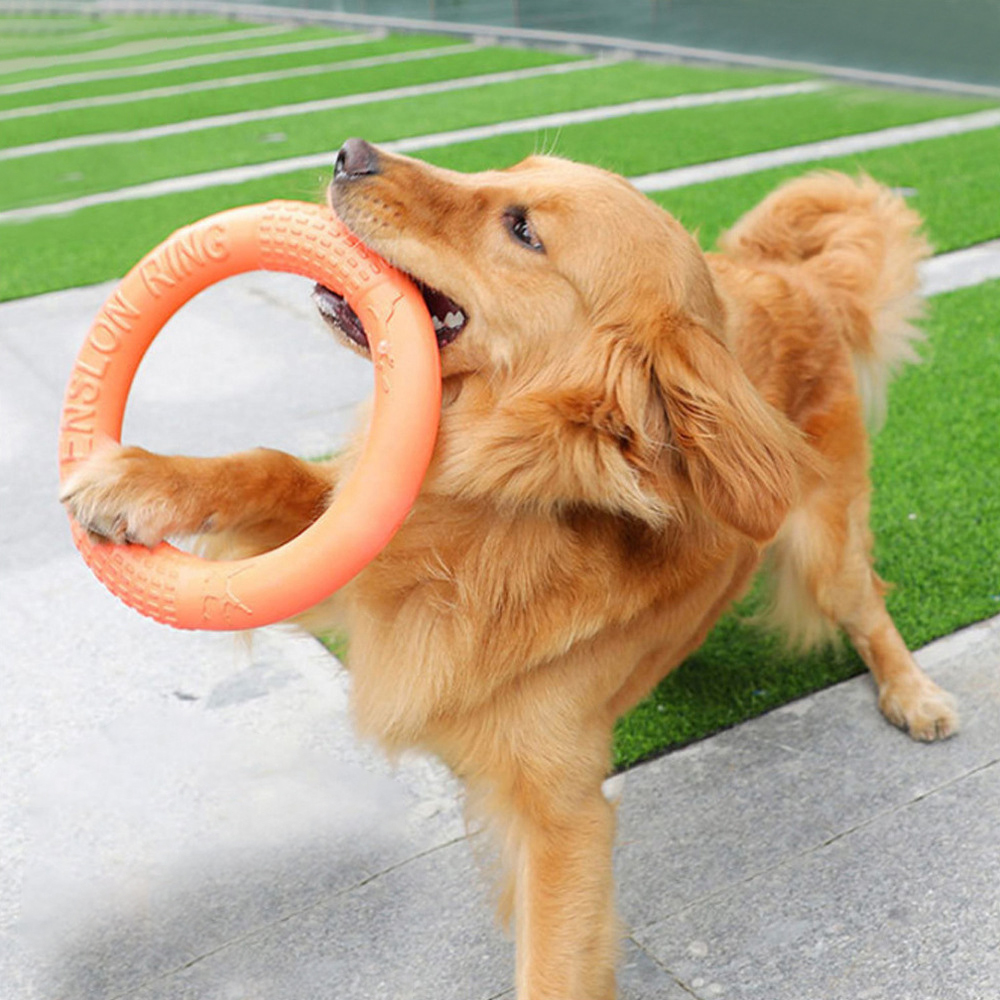 Indestructible Dog Chew Toy - Laranja voando disco formação anel extrator,