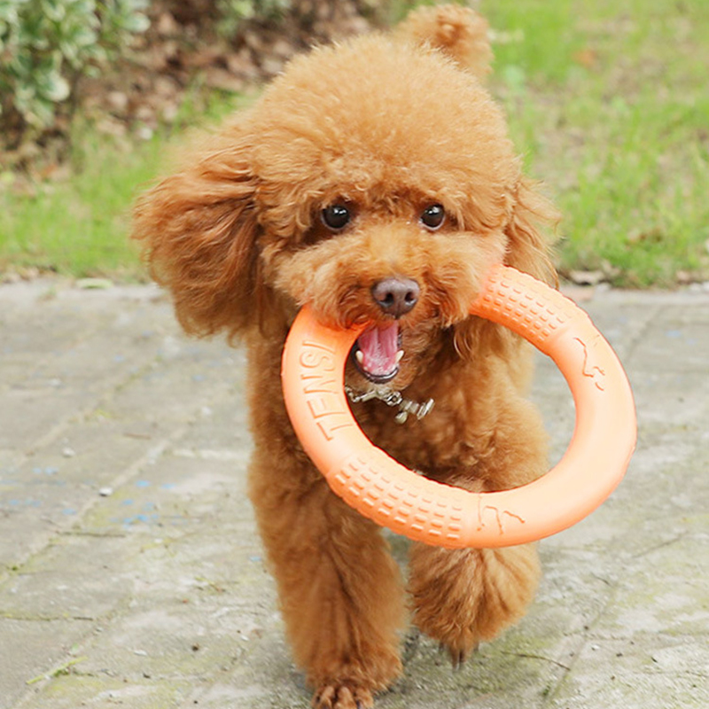 Laranja voando disco formação  - Indestructible Dog Chew Toy avaliação e preço