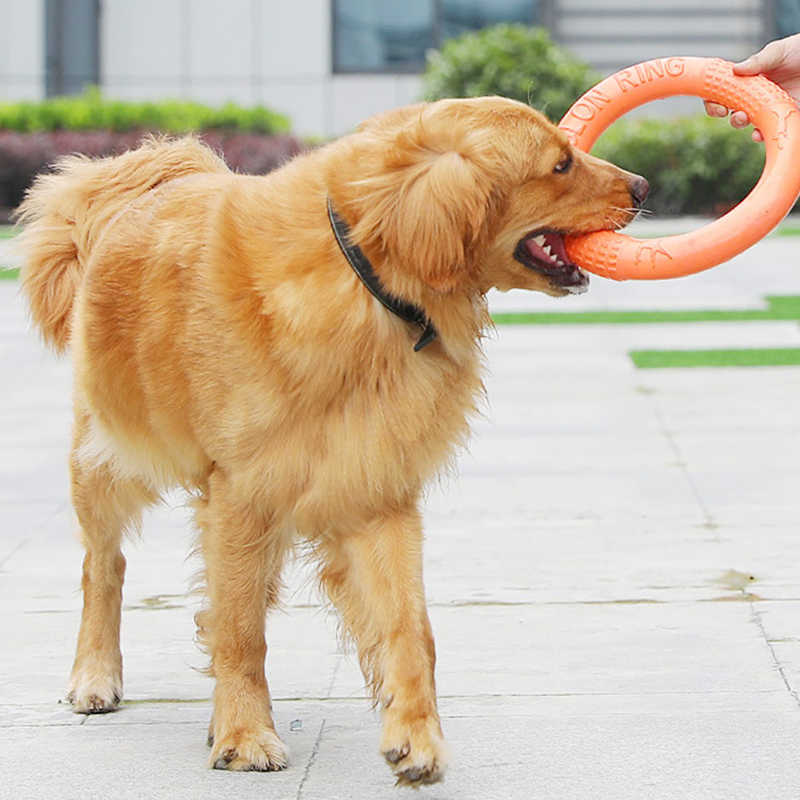 Laranja voando disco formação  - Indestructible Dog Chew Toy avaliação e preço