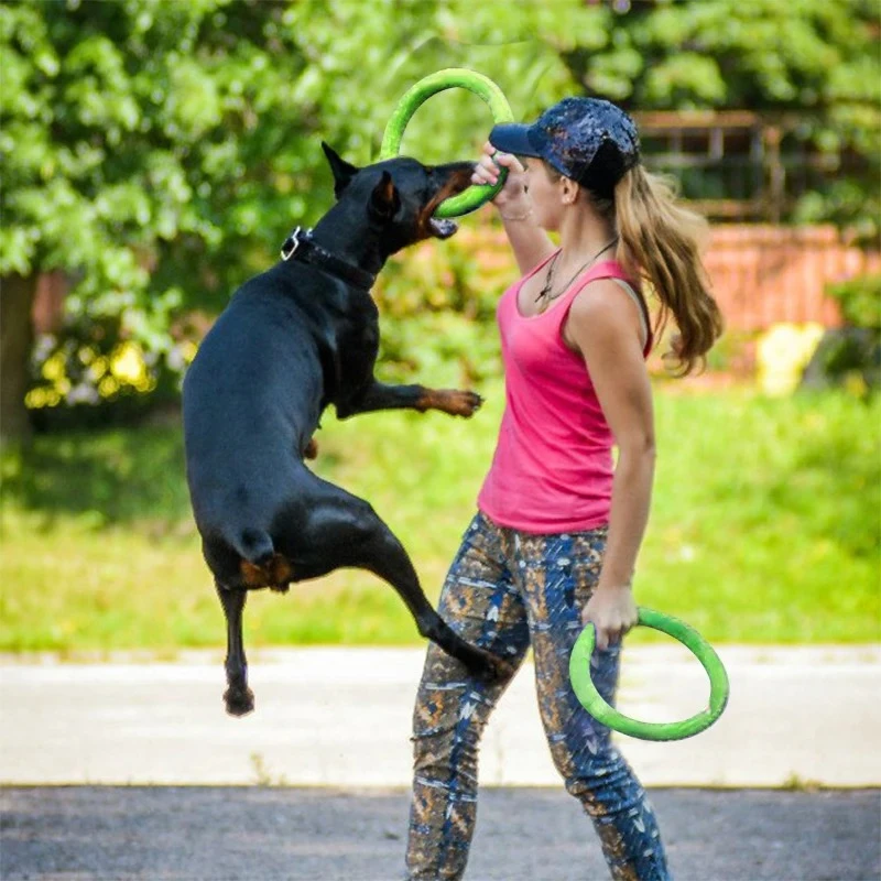 Discos voadores EVA Dog Traini - Indestructible Dog Chew Toy avaliação e preço