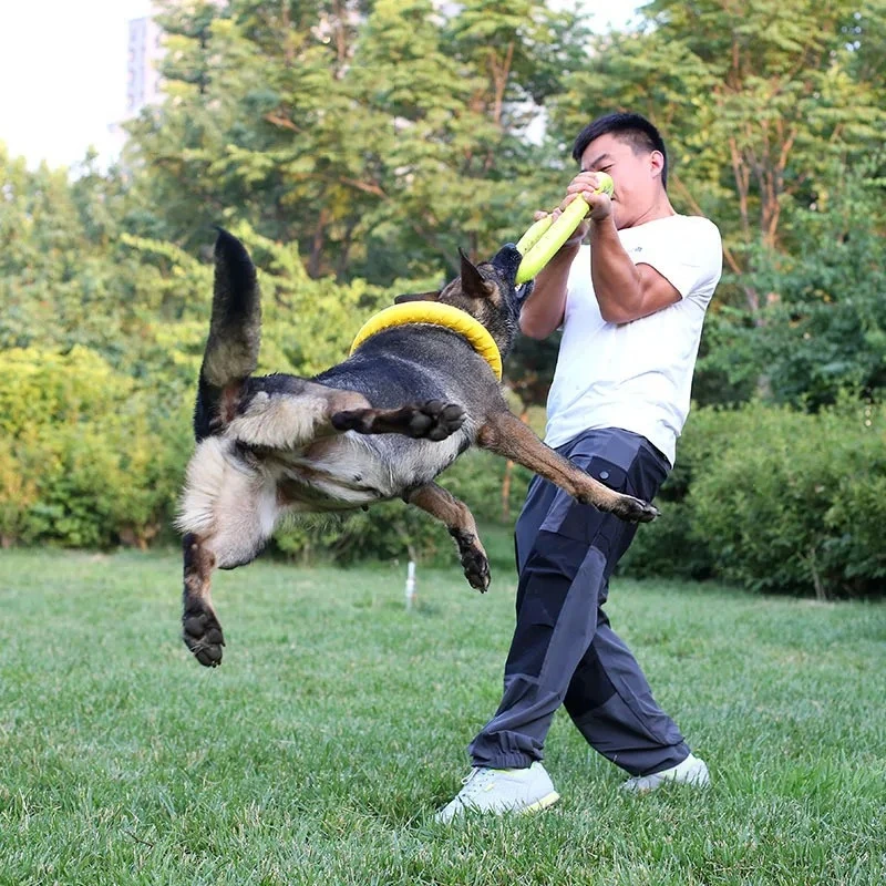 Discos voadores EVA Dog Traini - Indestructible Dog Chew Toy avaliação e preço