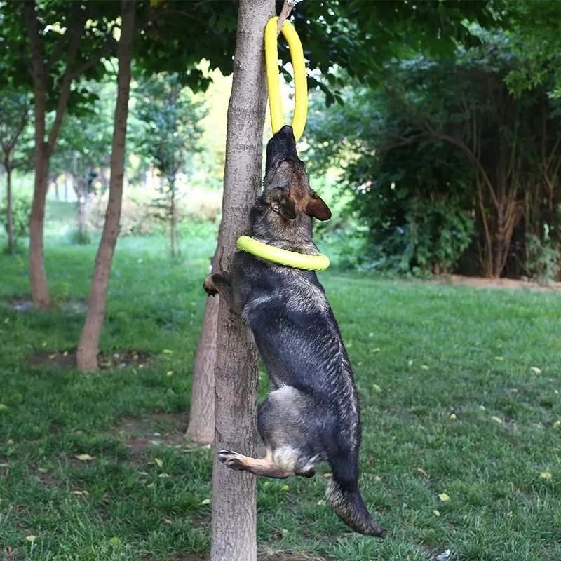 Discos voadores EVA Dog Traini - Indestructible Dog Chew Toy avaliação e preço