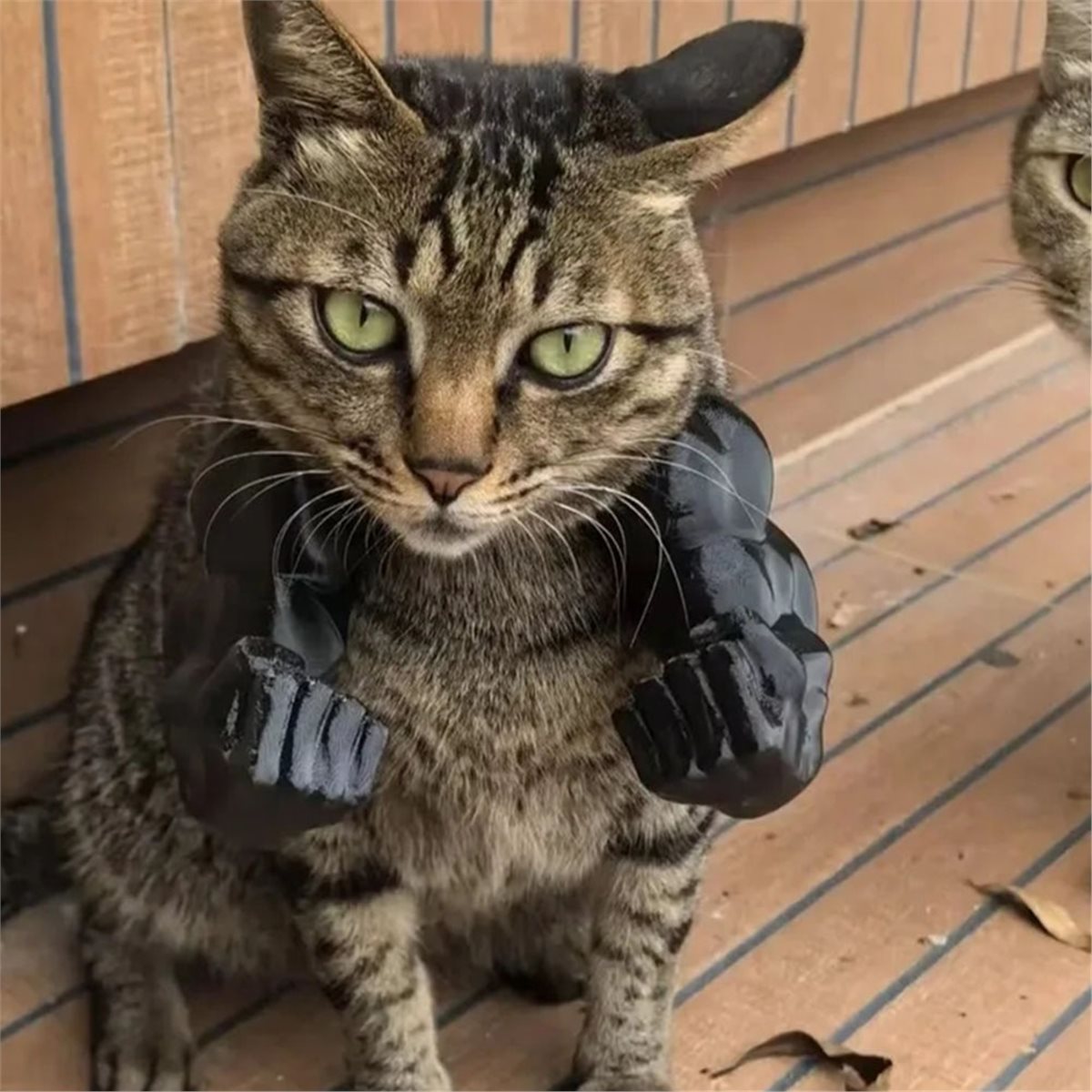 NOVO: Pingente de braço muscul - Cat Toys avaliação e preço