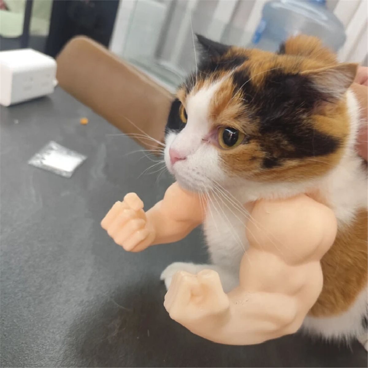 NOVO: Pingente de braço muscul - Cat Toys avaliação e preço