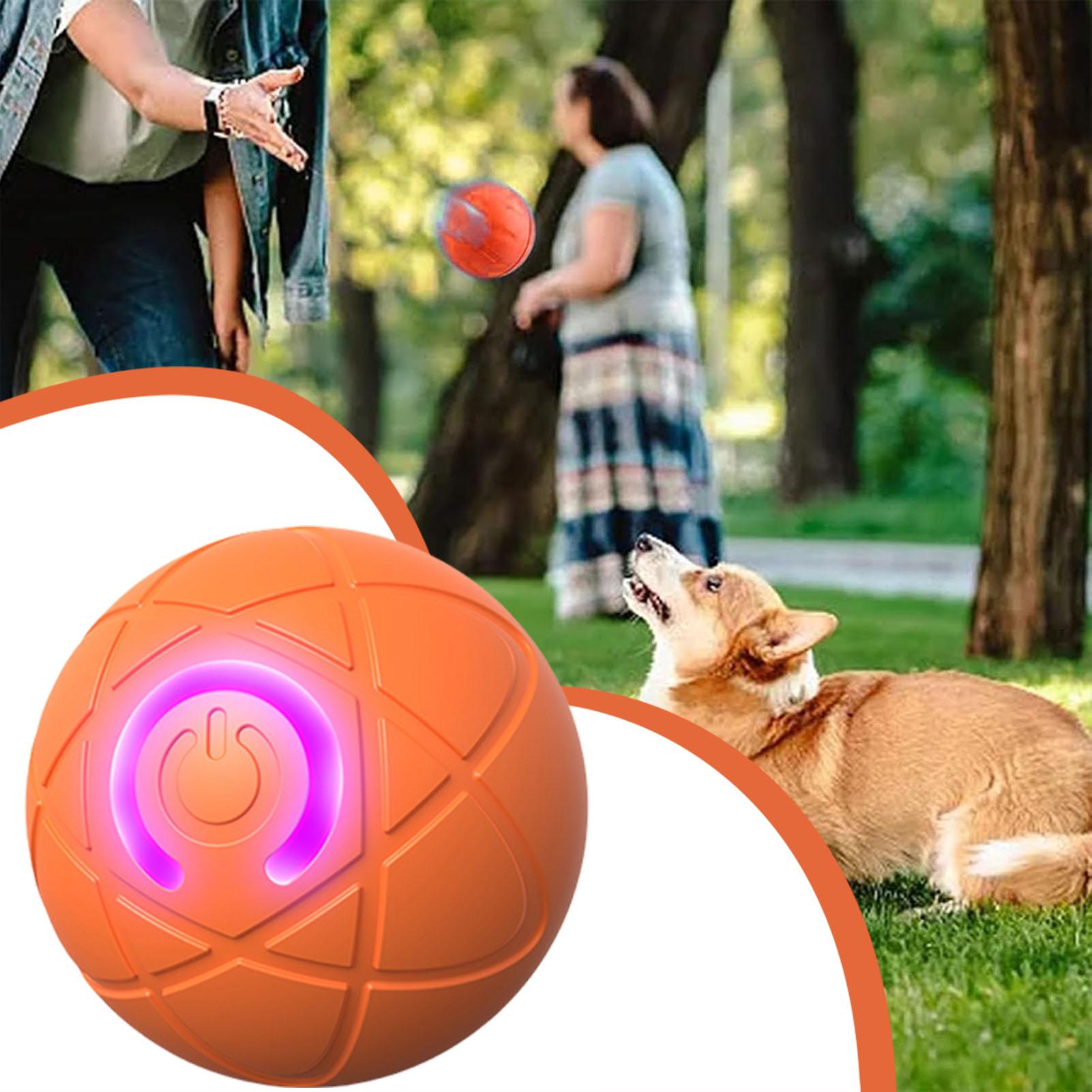 Bola de brinquedo para cachorr - Automatic Moving Dog Ball avaliação e preço